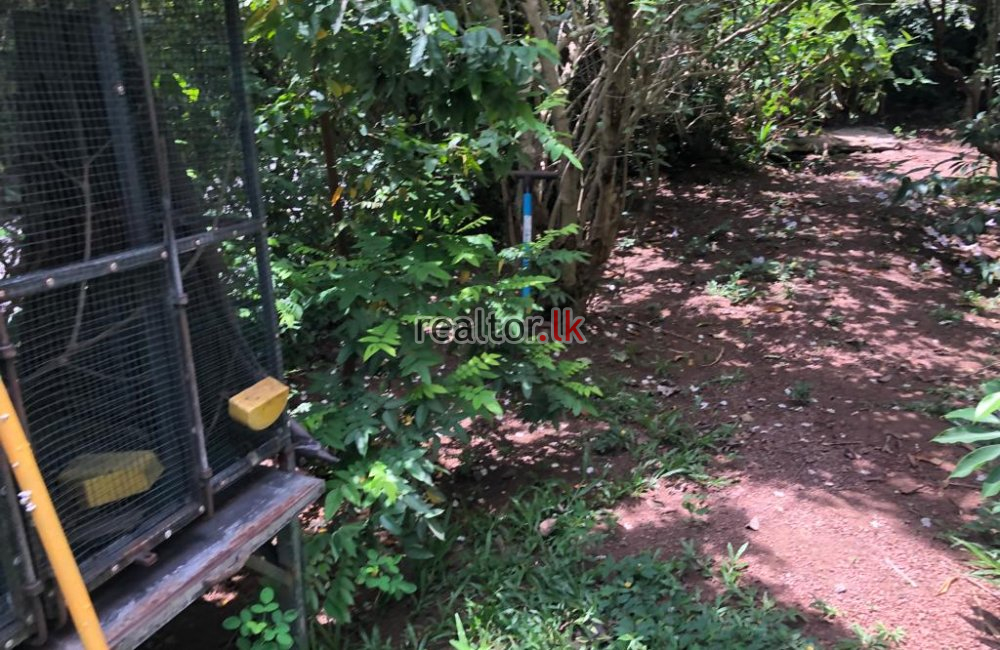 Lionel Edirisinghe Mw Land For Sale