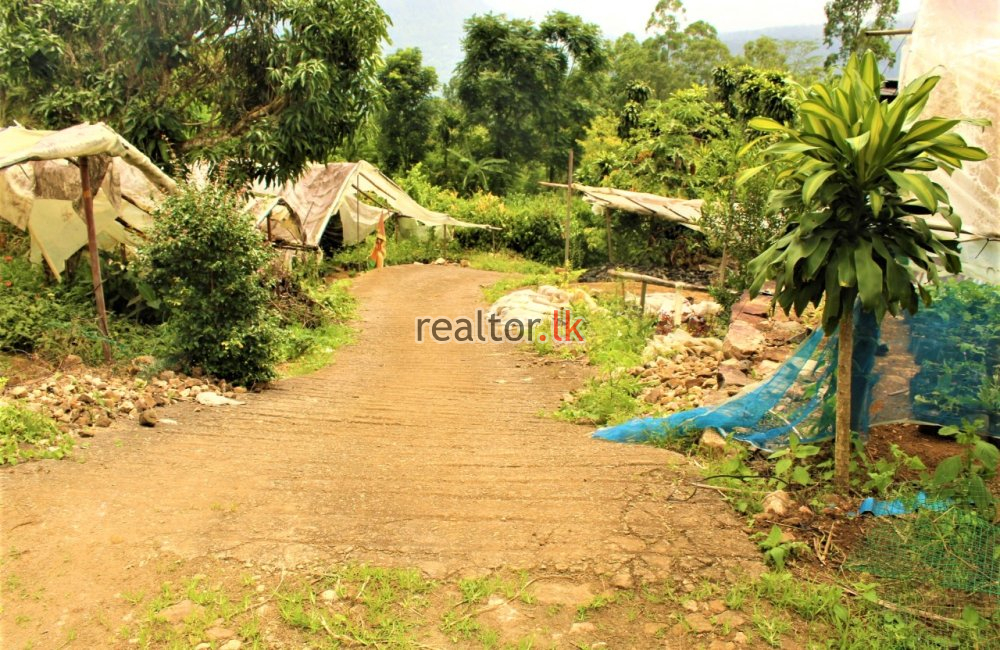 Land For Sale At Thawalanthenna