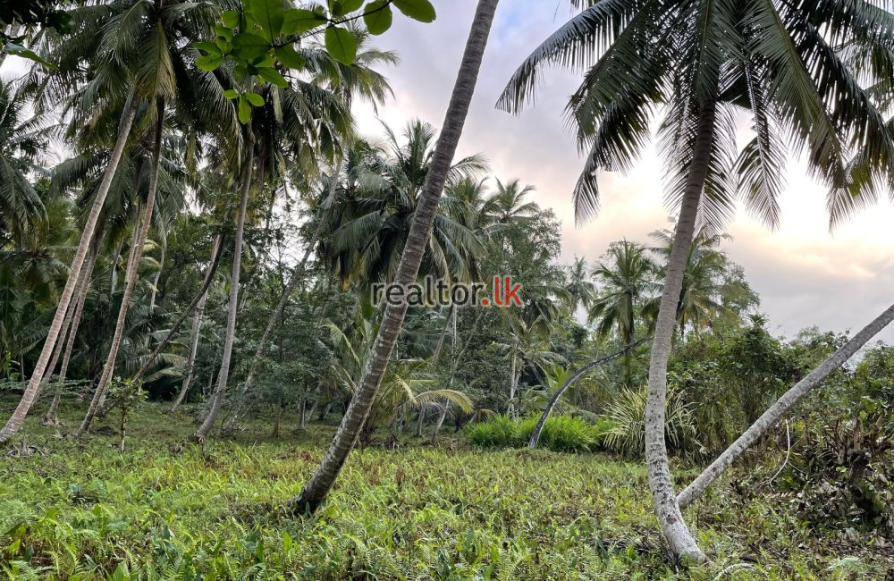 Lakefront Land For Sale At Habaraduwa Galle