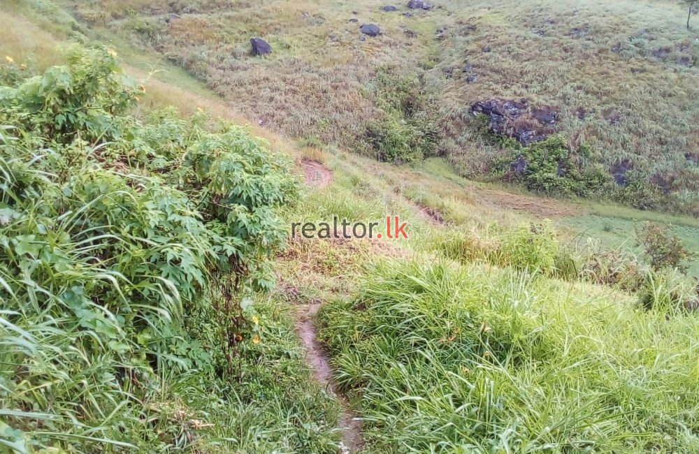 Land For Sale At Nuwara Eliya