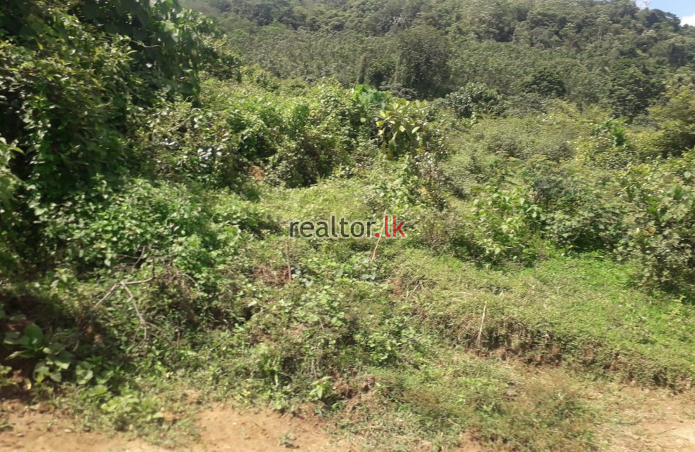 Malagala Land For Sale