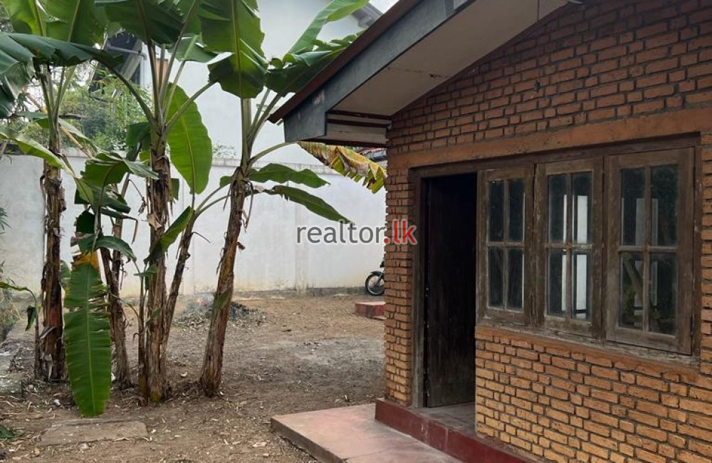 Single Storey House For Rent In Homagama