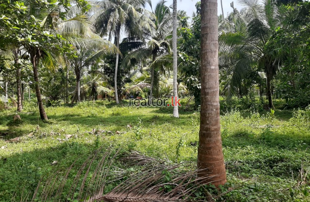 Facing Divulapitiya Rd 15A Land For Sale