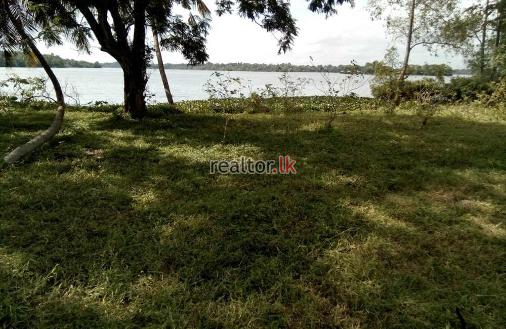 Facing Bolgoda Lake Land For Sale At Panadura