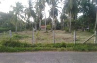 Marawila Coconut Land For Sale