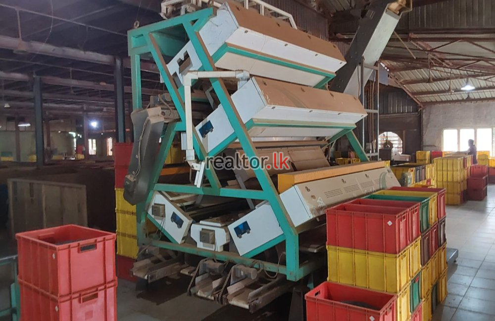Tea Factory For Sale At Panapitiya