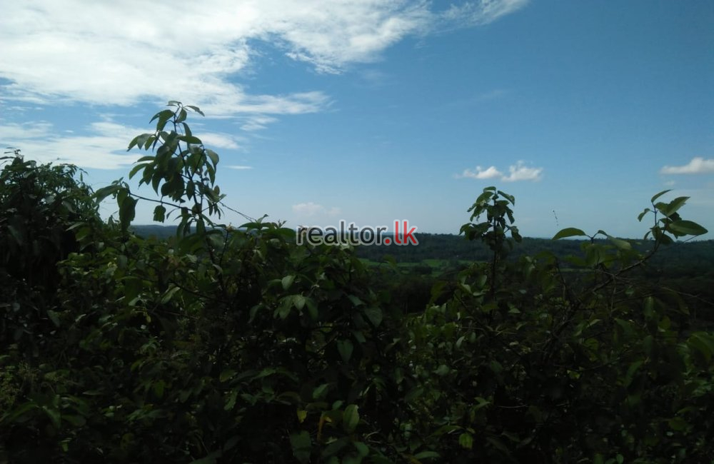 Land For Sale In Imaduwa