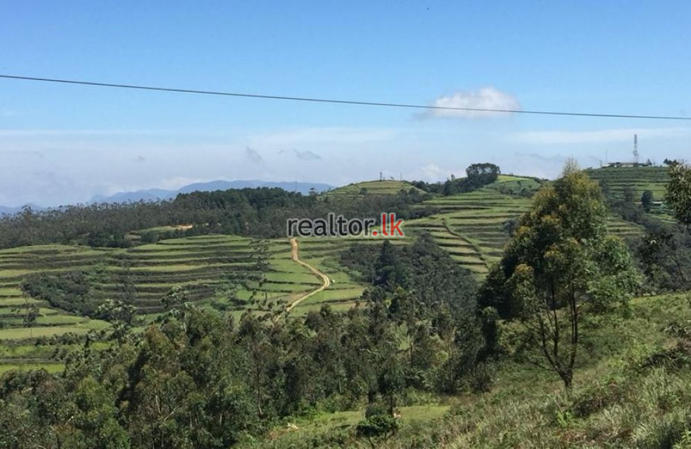 Land For Sale In  MTV Tower Road Nuwara Eliya