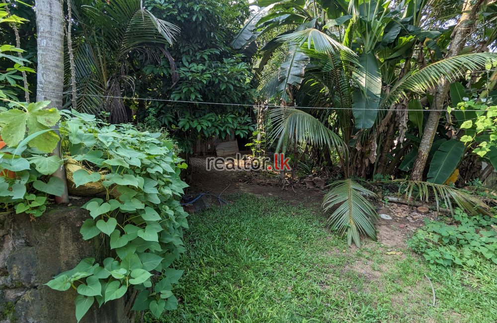 Warehouse With Land For Sale In Meegoda