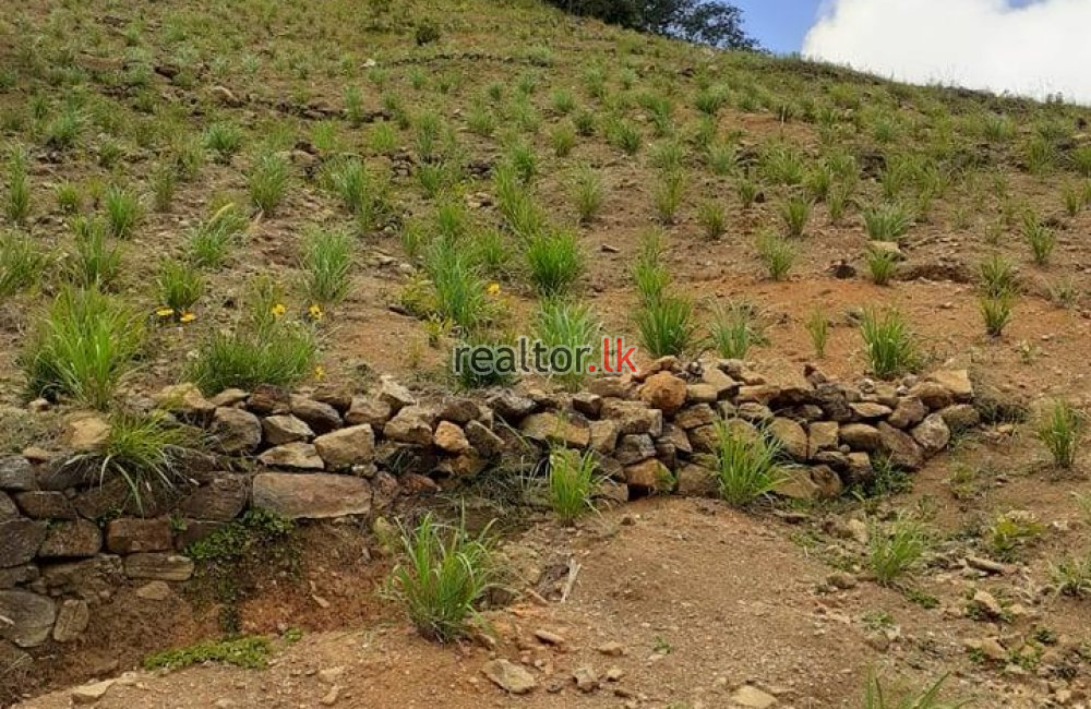 Agricultural Land For Sale At Matale