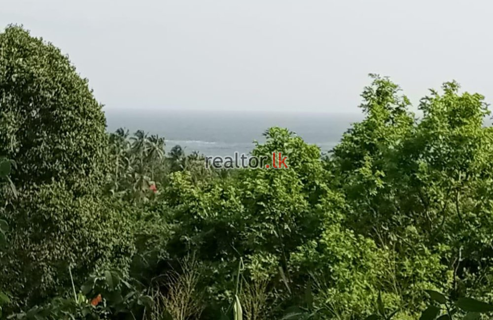 Land For Sale At Hiriketiya