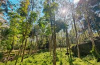 Mixed Estate For Sale In Ingiriya