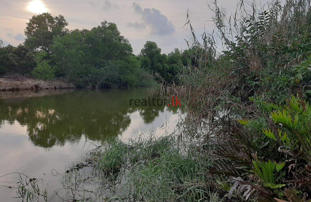 Facing Negombo Lagoon Land For Sale