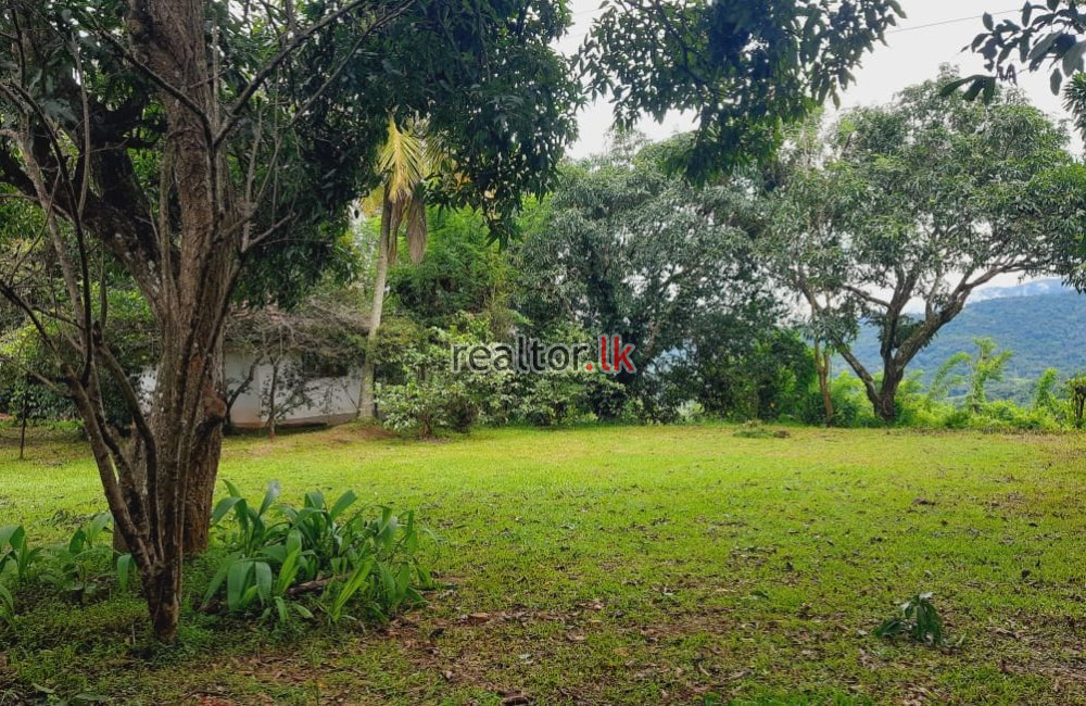 Mix Plant Estate For Sale At Naula Matale