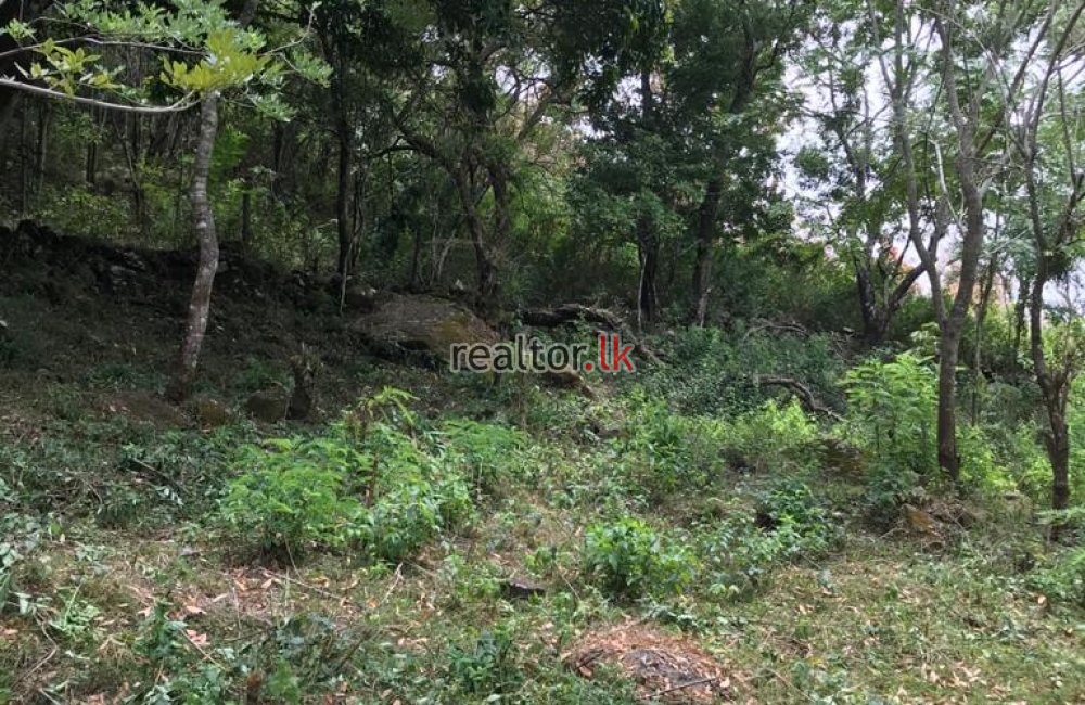 Bambarakanda Kalupahana Land For Sale