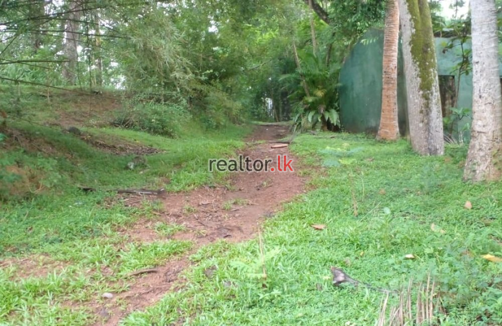 Facing Bolgoda Lake Land For Sale