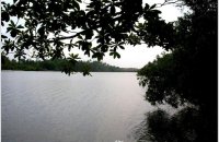 Prime Lakefront Land For Sale Facing Koggala Lake