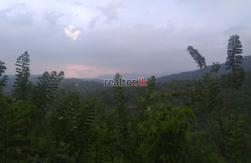 Villa For Sale At Kahawatta Ratnapura