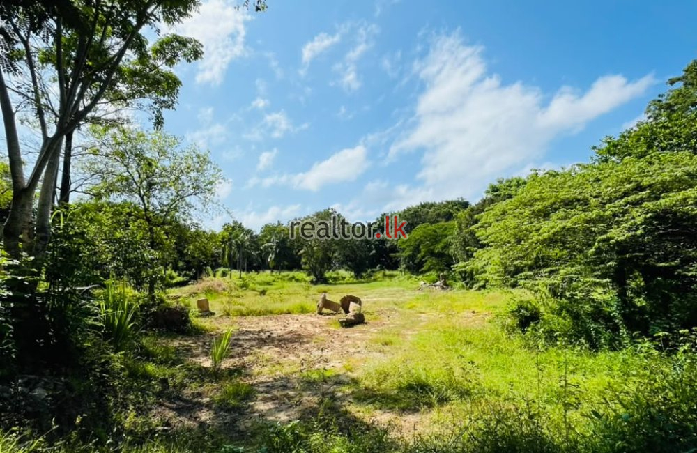 Riverfront Land For Sale In Wennappuwa