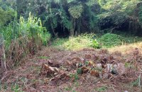 Lake Front Land At Off Beddagana Road