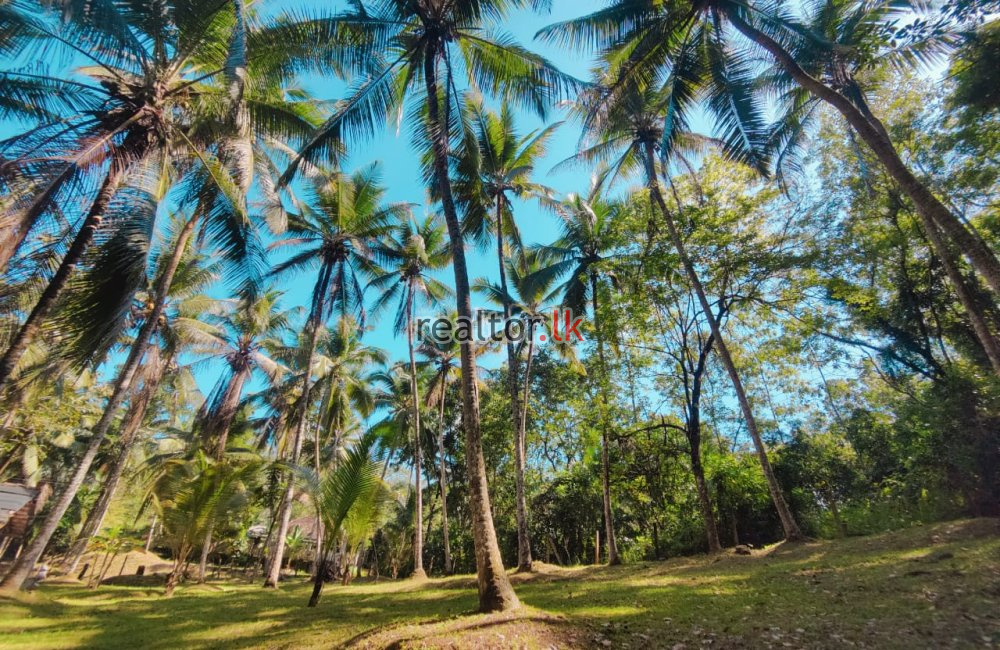 Mixed Estate For Sale In Ingiriya