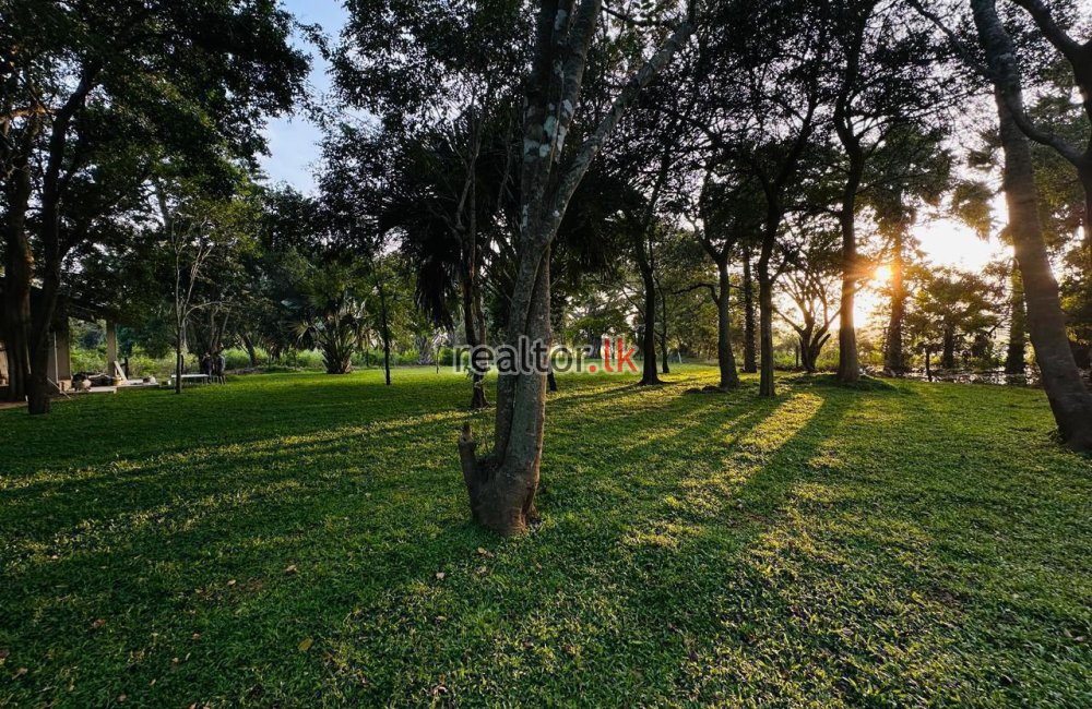 Lake Front Luxury Villa For Sale Habarana Forrest