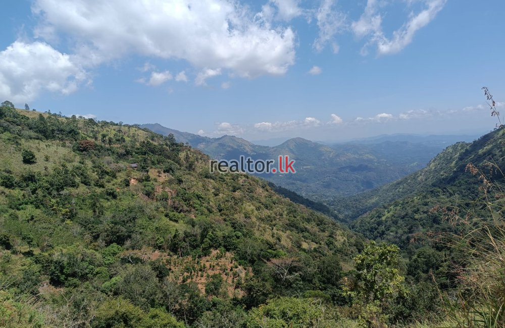 Mountain View Land For Sale In Bambaragama