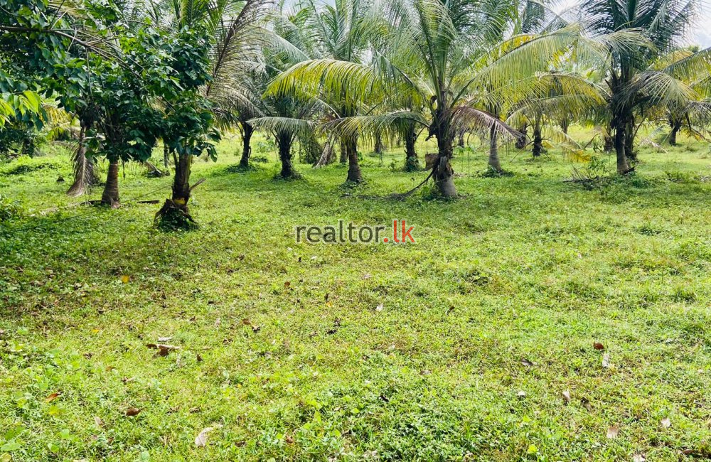 Land For Sale At Ranala