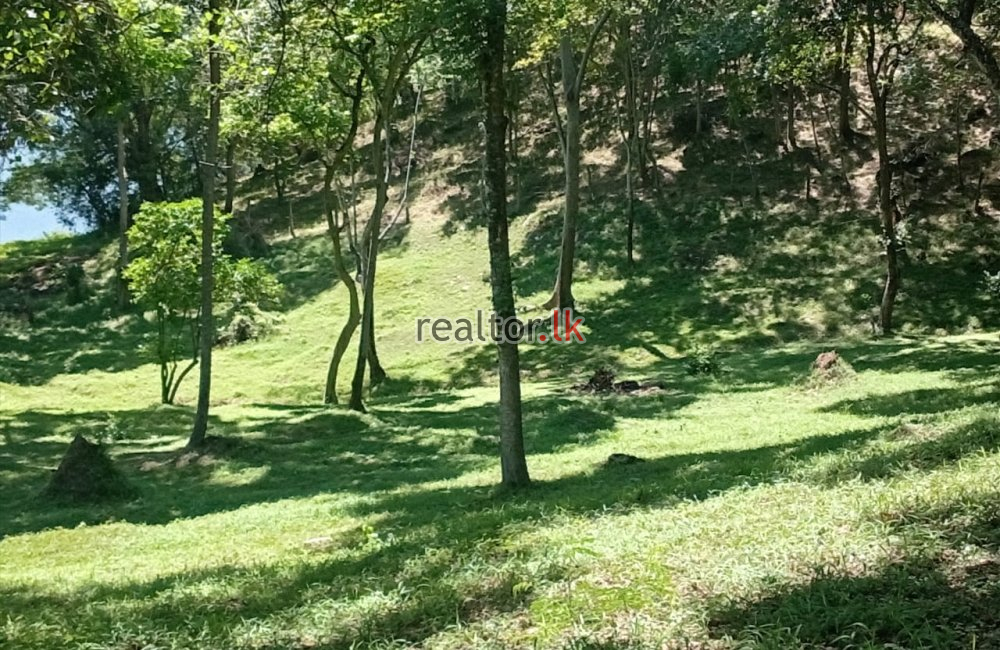 Land With Bungalow For Sale In Bowalawatta Kandy
