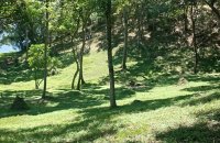 Land With Bungalow For Sale In Bowalawatta Kandy