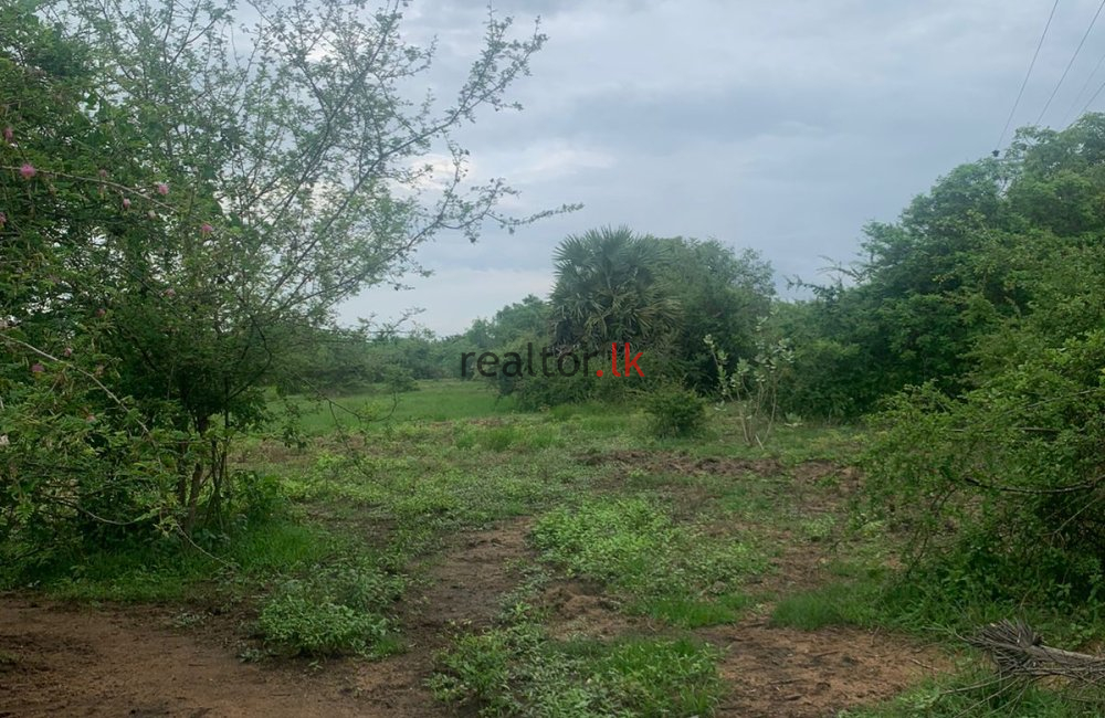 Mangalaeliya Land For Sale