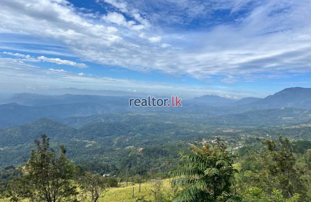 Mountain View Land For Sale At Beragala Haputale