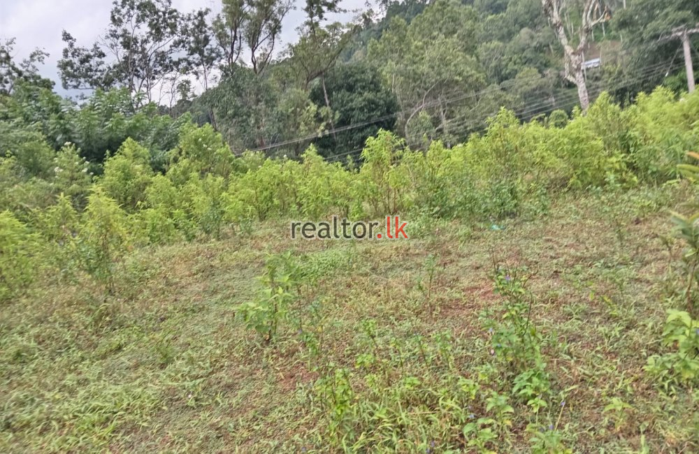 Land For Sale At Aththalapitiya Rd Bandarawela