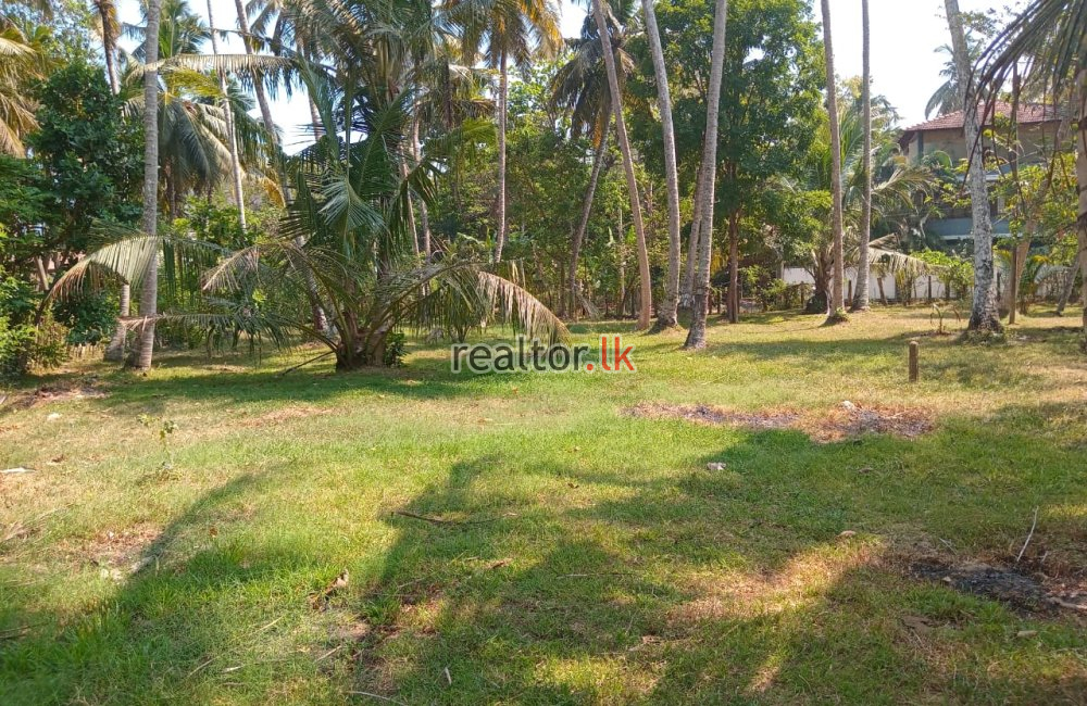 Beach Land For Sale At Hiriketiya