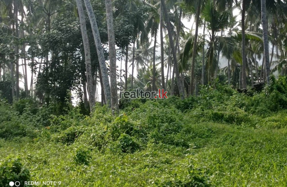 Hiriketiya Beach Land For Sale