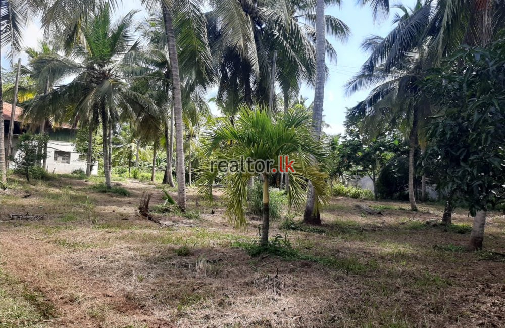 Land For Sale At Nugawela Road Weralugama Pannala