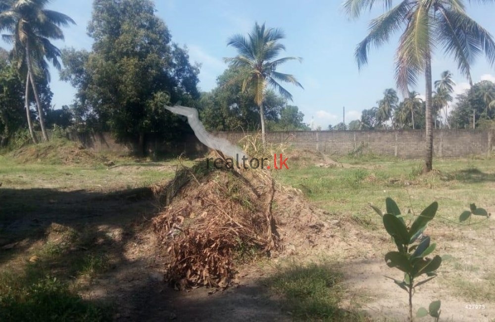 Land For Sale At Raja Mw Facing