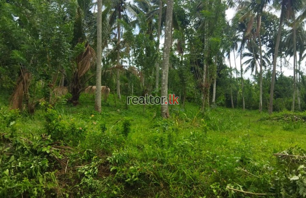 Facing Galewela Main Rd Coconut Estate For Sale