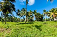 Land For Sale In Dikkumbura Road Ahangama
