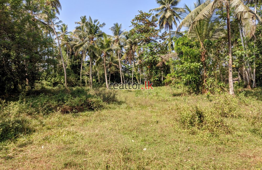 Land For Sale At Artigala Rd Meegoda