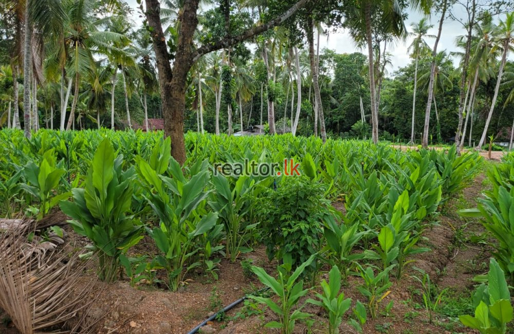 Villa For Sale At Minuwangoda