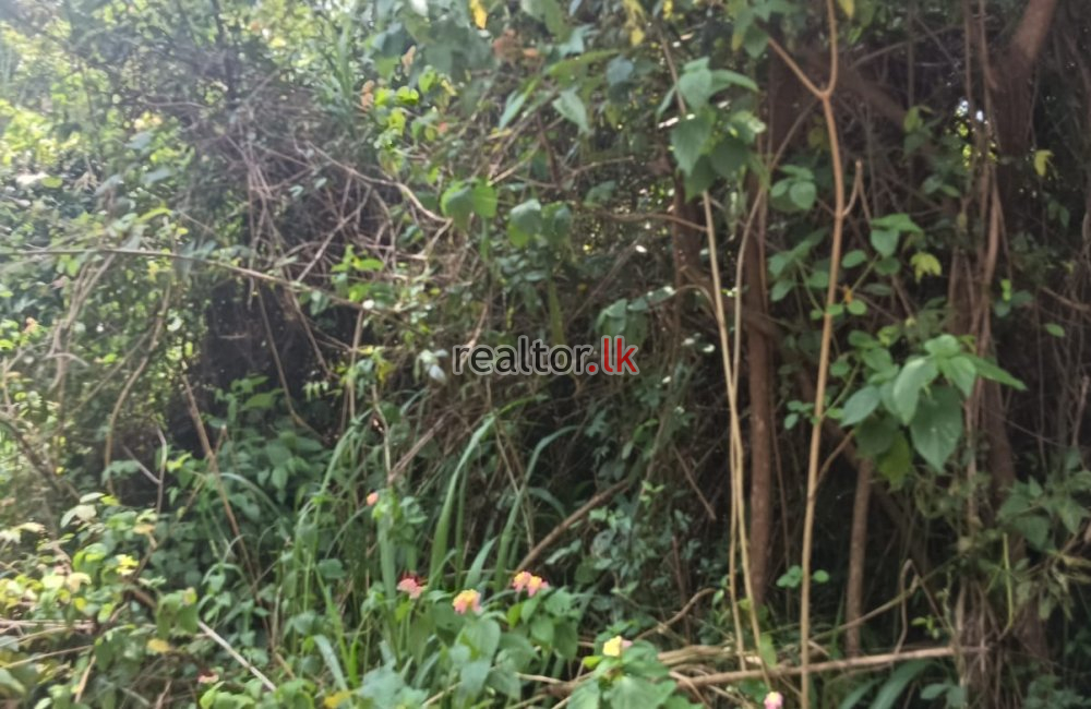 Lakefront Land For Sale In Kandalama