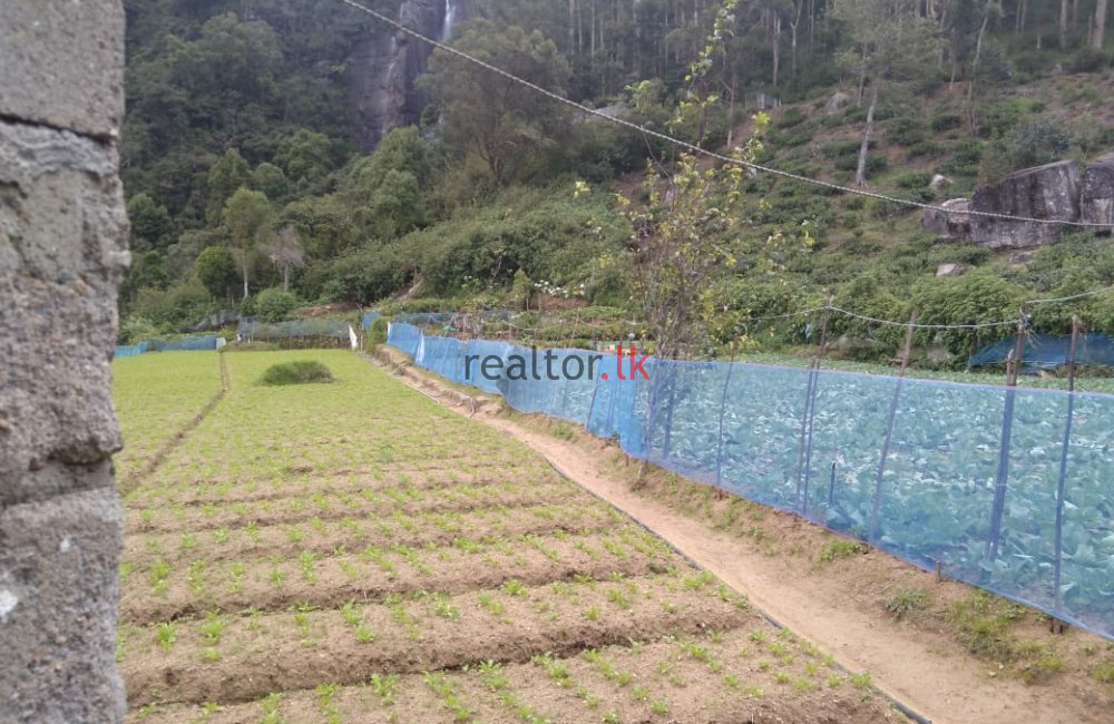 Nuwara Eliya Land For Sale