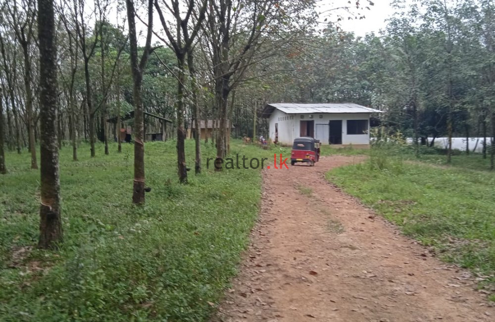 Pugoda Road Land For Sale