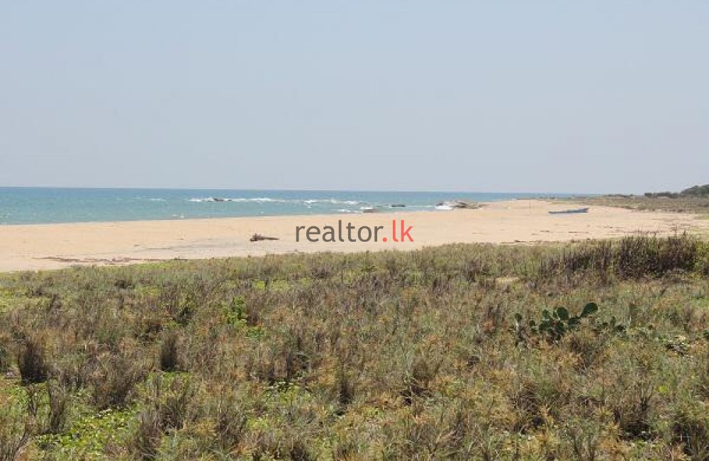 Arugam Bay Land For Sale