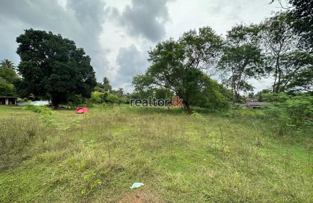 Land For Sale Facing Kottawa Road Pannipitiya