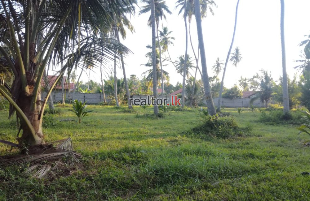 23 Acres Beach Front Land For Sale In Marawila