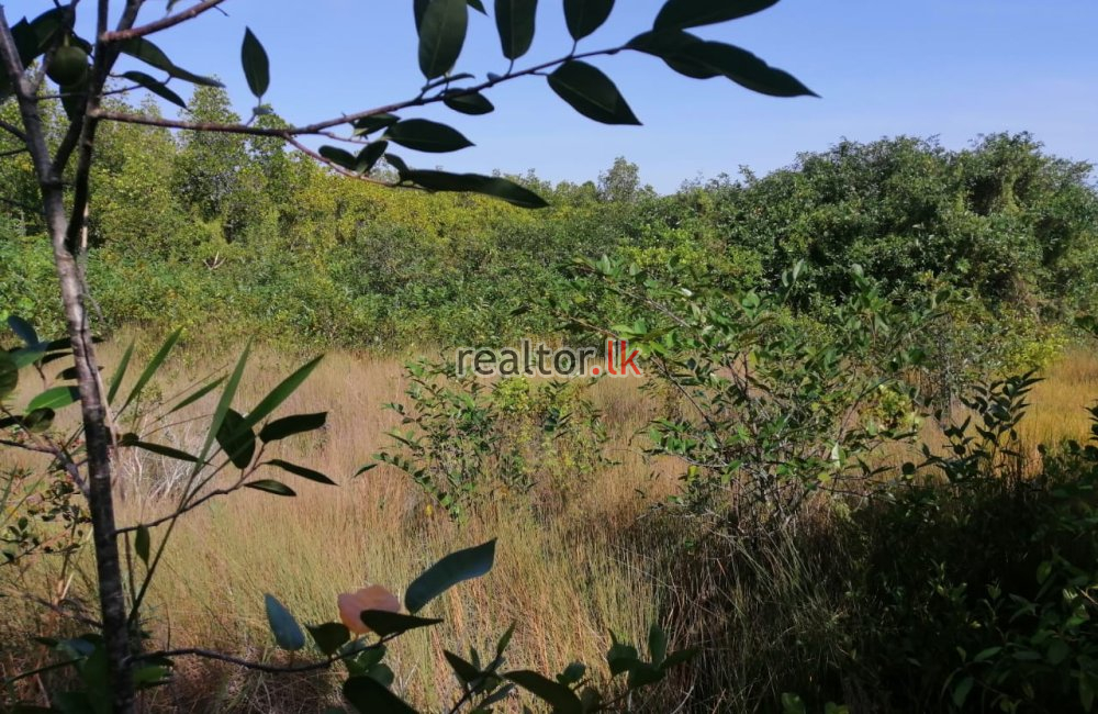 Facing Madu River Land For Sale