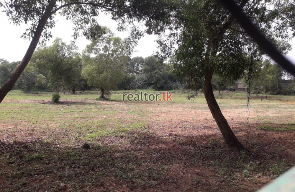 Gampaha Rd Land For Sale