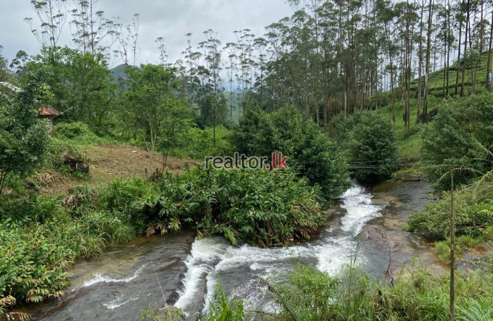 Mixed Estate For Sale In Agra Oya Road Watawala